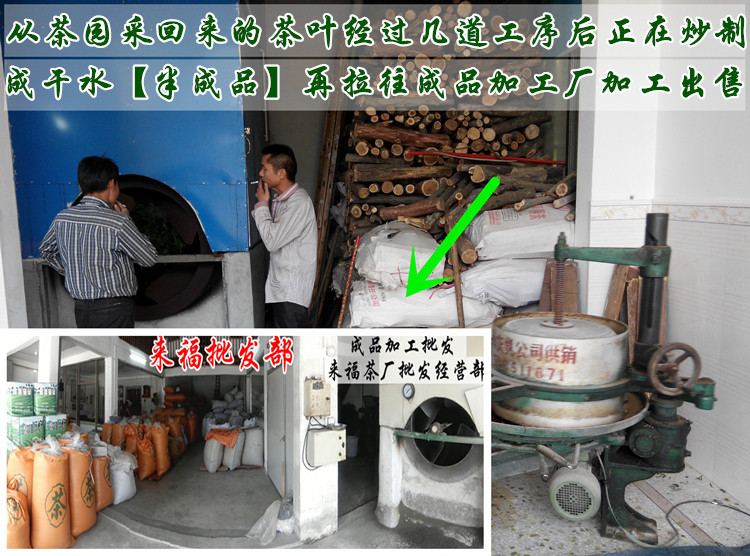 茶叶种植加工_茶叶加工机械设备_新鲜的茶叶怎么加工