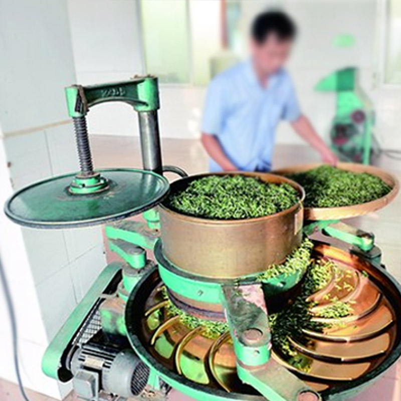 茶叶加工机械设备_新鲜的茶叶怎么加工_茶叶种植加工